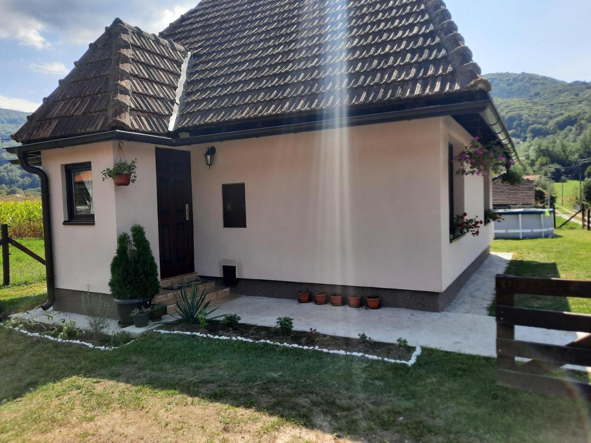 Drinski Oganj Kuca Za Odmor Bajina Basta Buitenkant foto