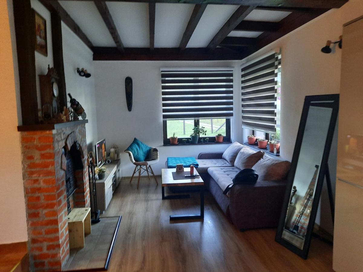 Drinski Oganj Kuca Za Odmor Bajina Basta Buitenkant foto