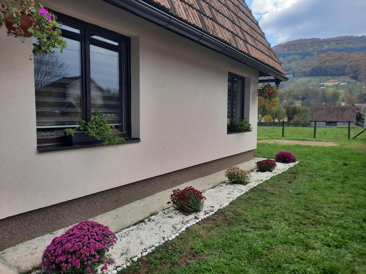 Drinski Oganj Kuca Za Odmor Bajina Basta Buitenkant foto