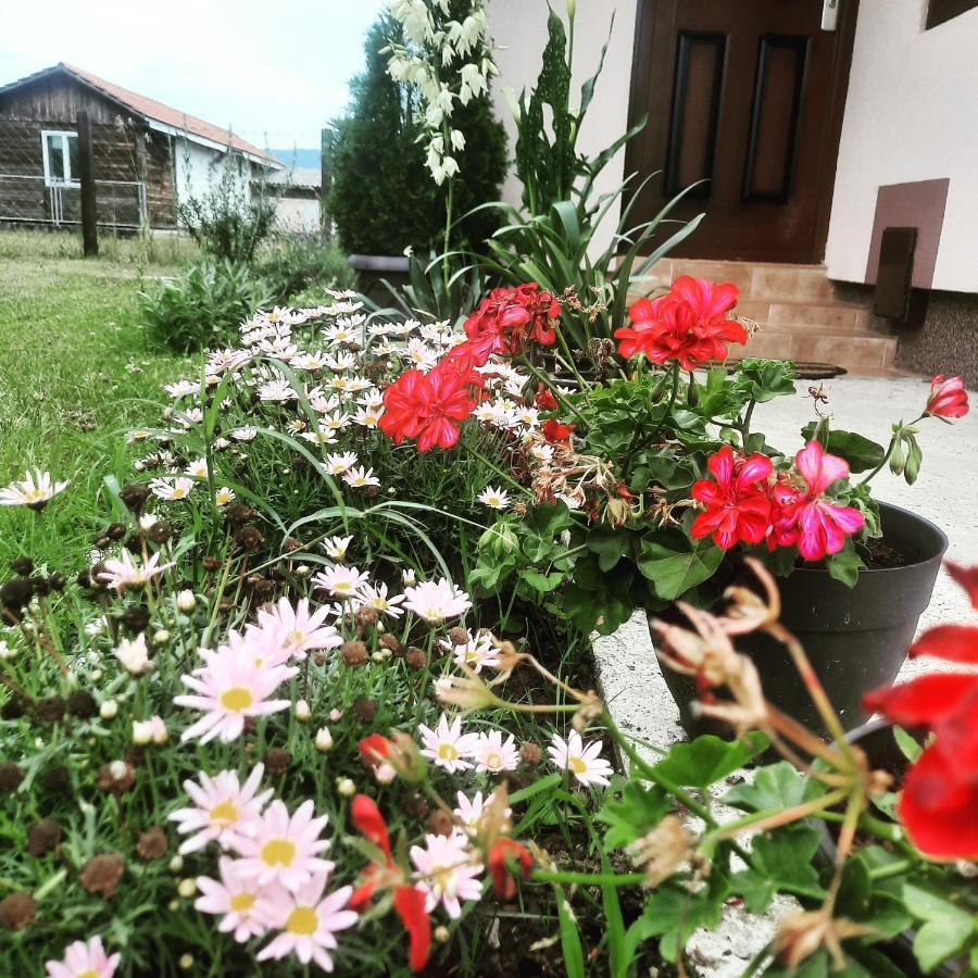 Drinski Oganj Kuca Za Odmor Bajina Basta Buitenkant foto